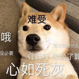 女儿小丹妻子和女儿
